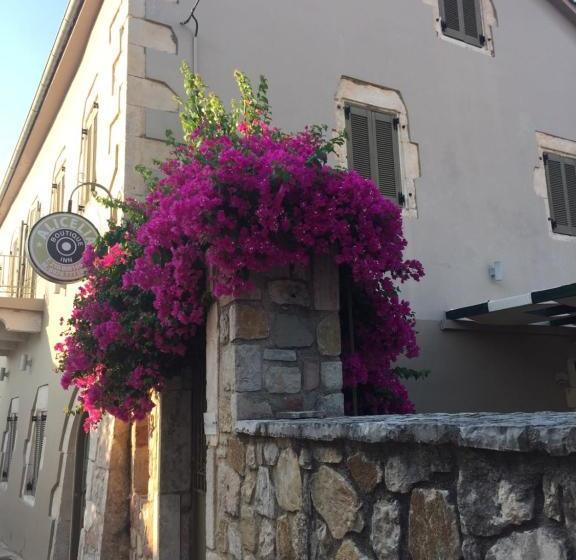 هتل Alicelia Boutique Inn