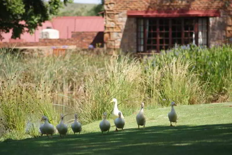 ホテル Critchley Hackle
