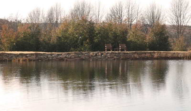 ホテル Critchley Hackle