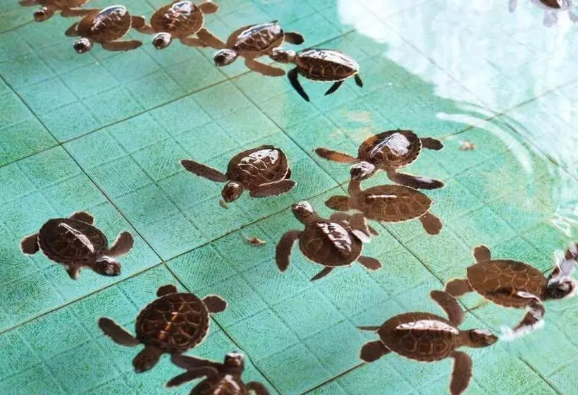 Отель Good Heart Resort Gili Trawangan