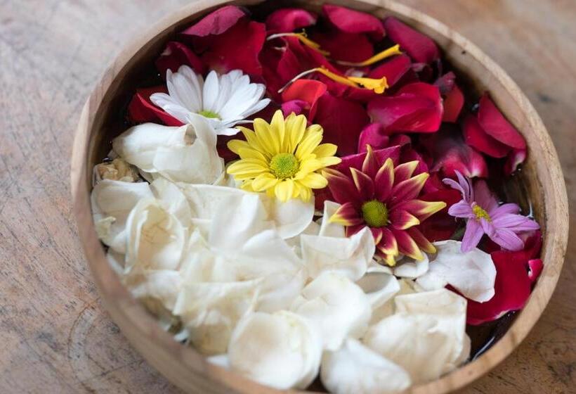 בית מלון כפרי Jati Homestay