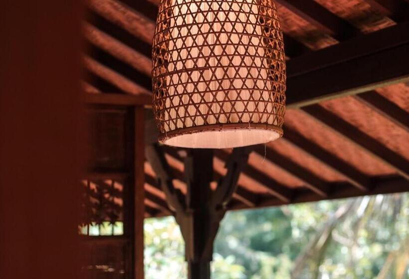 בית מלון כפרי Jati Homestay