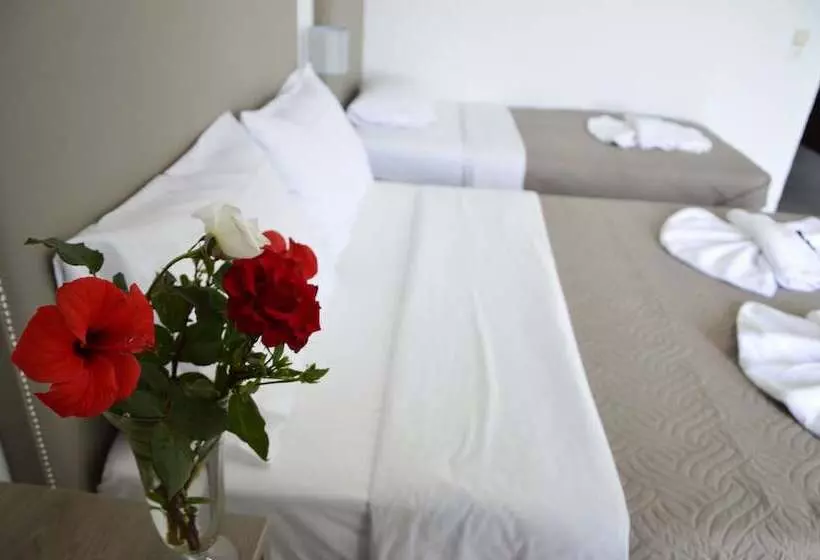 בית מלון כפרי Stork