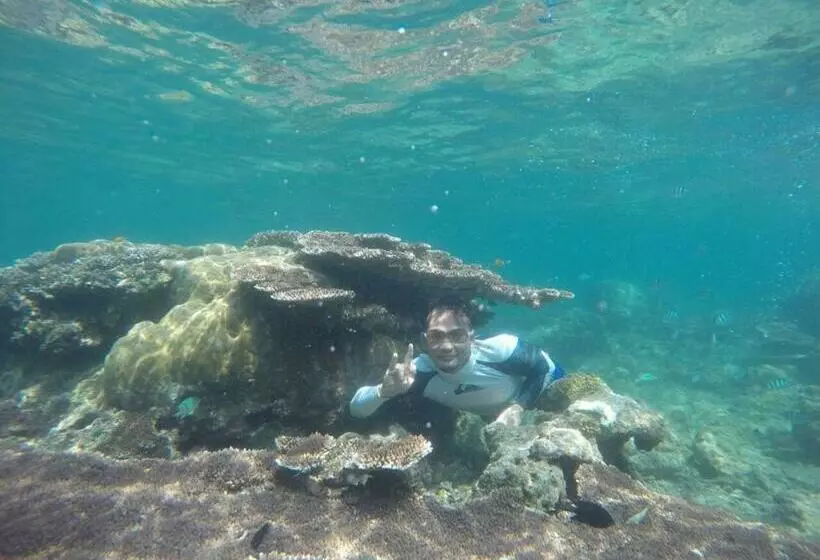 Retkeilymaja Dric S House