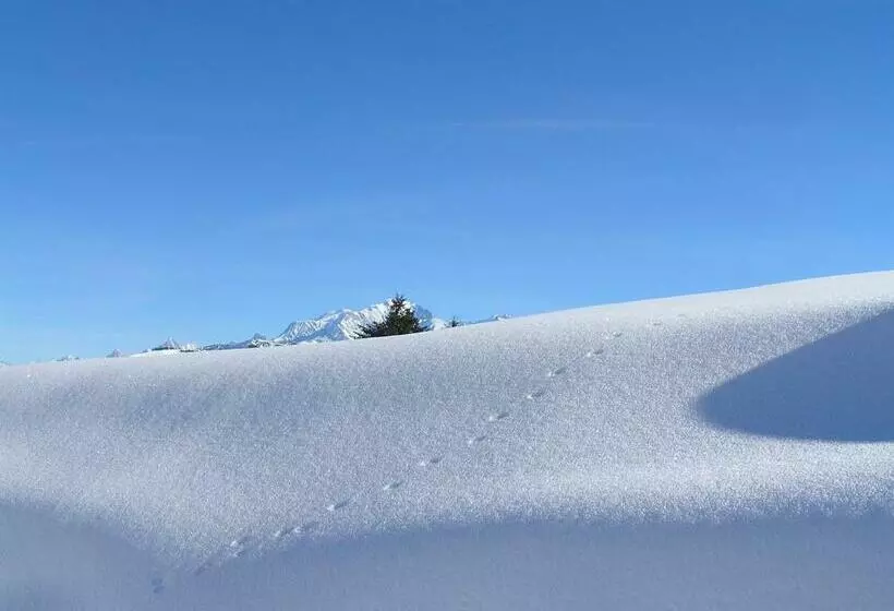 Bed and Breakfast Chez Laurette Et Louis