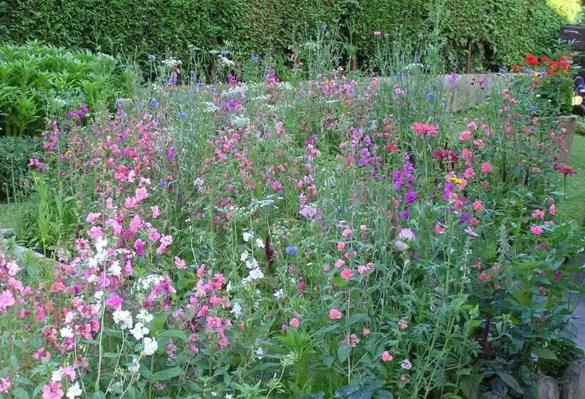 Bed and Breakfast Chez Laurette Et Louis