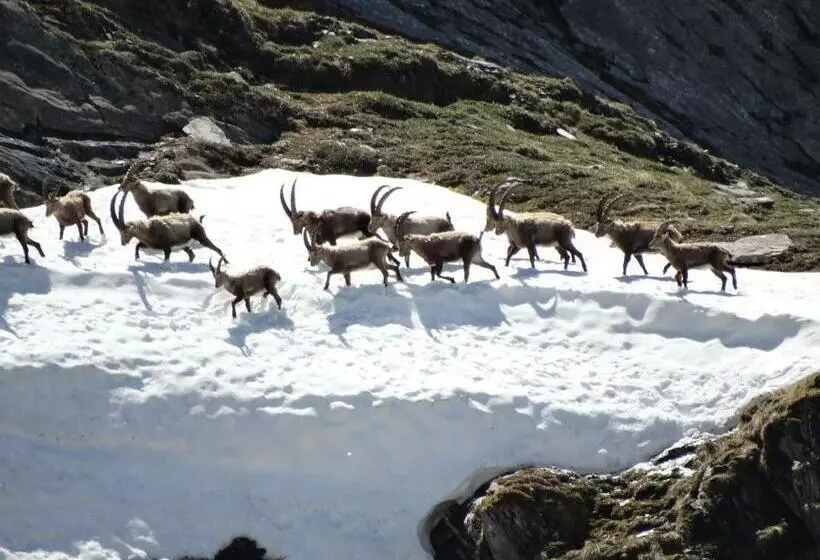 Bed and Breakfast Chez Laurette Et Louis