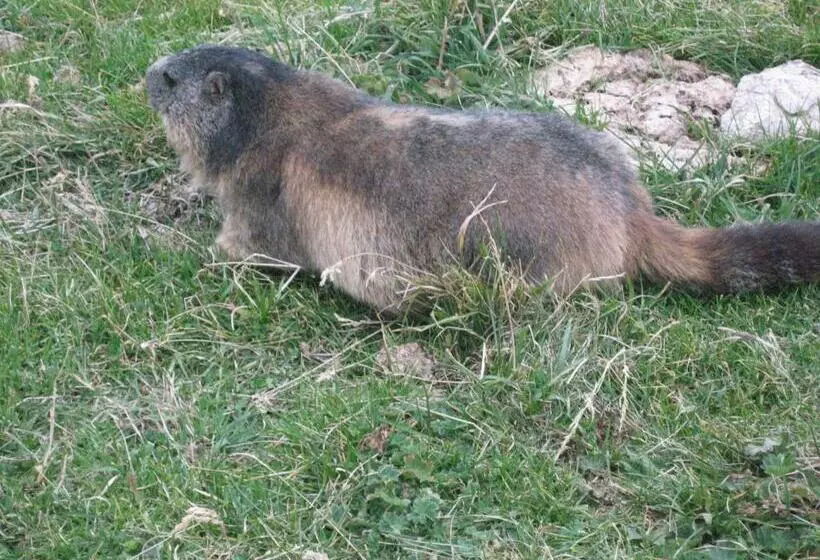 Bed and Breakfast Chez Laurette Et Louis