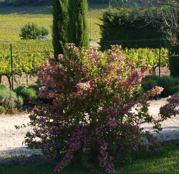 Bed and Breakfast Jardin D Antan