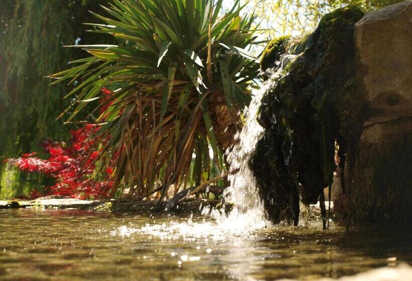 Bed and Breakfast Jardin D Antan