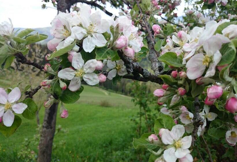 Otel Bio Bauernhof Kurzeck