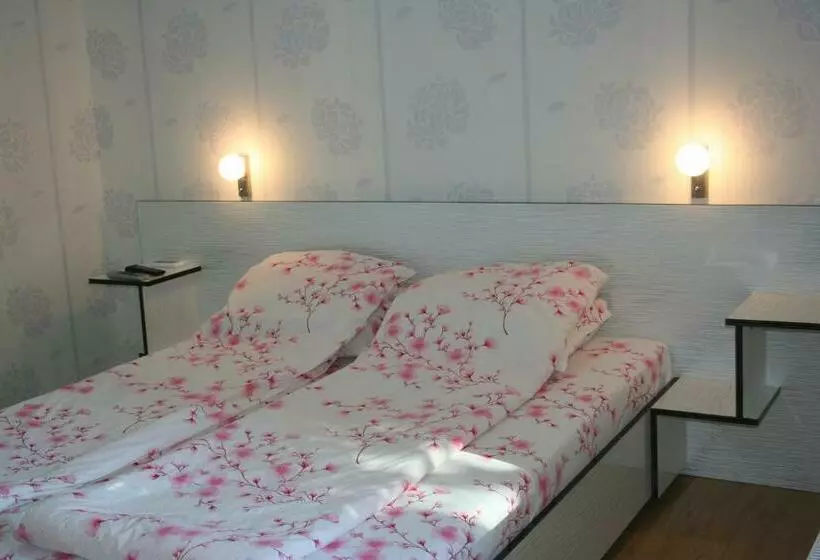 ペンション Bolyarski Stan Guest House