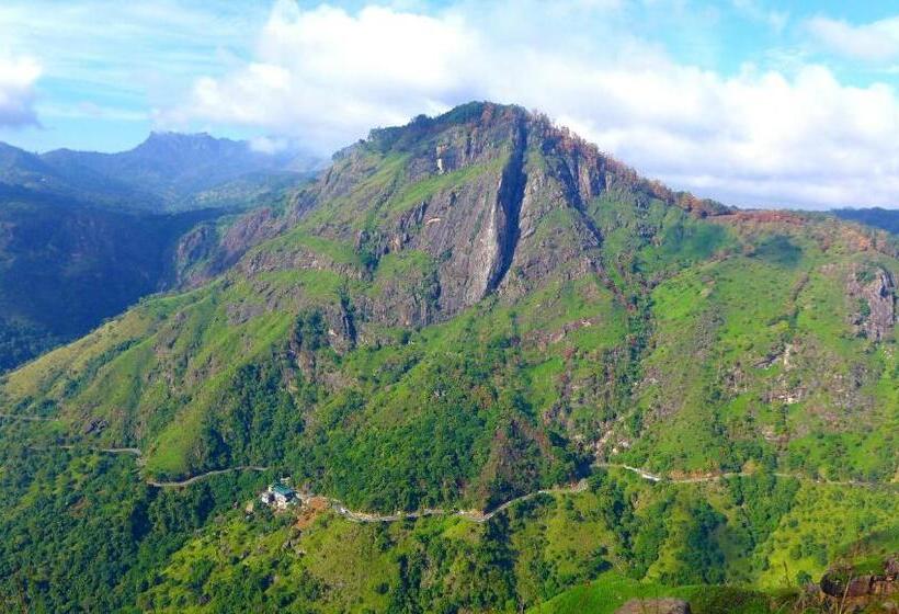 Pensione White Arcadia Cottage