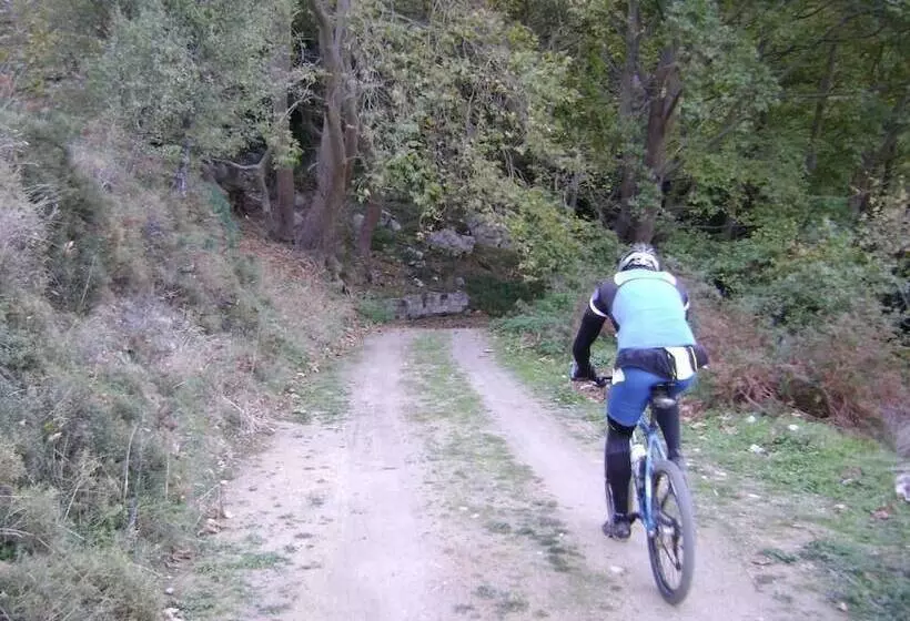 בית מלון כפרי Avantis Suites