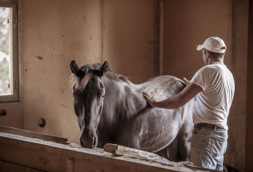 Hotel Grand Forest Metsovo