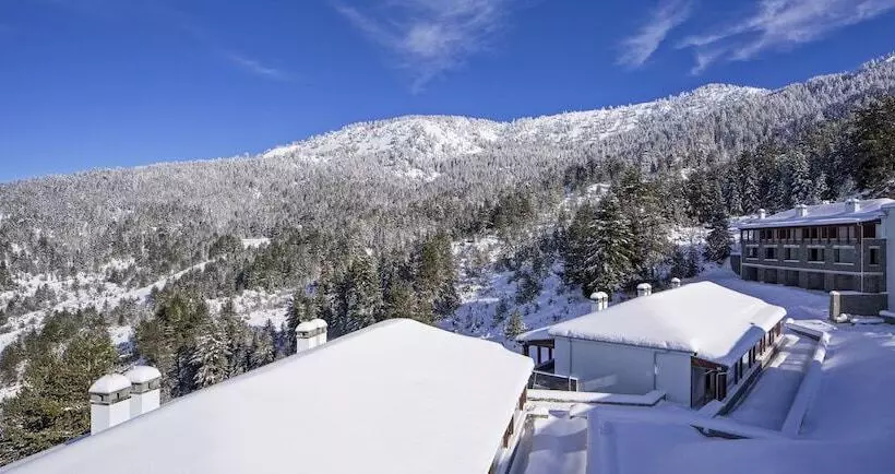 Hotel Grand Forest Metsovo