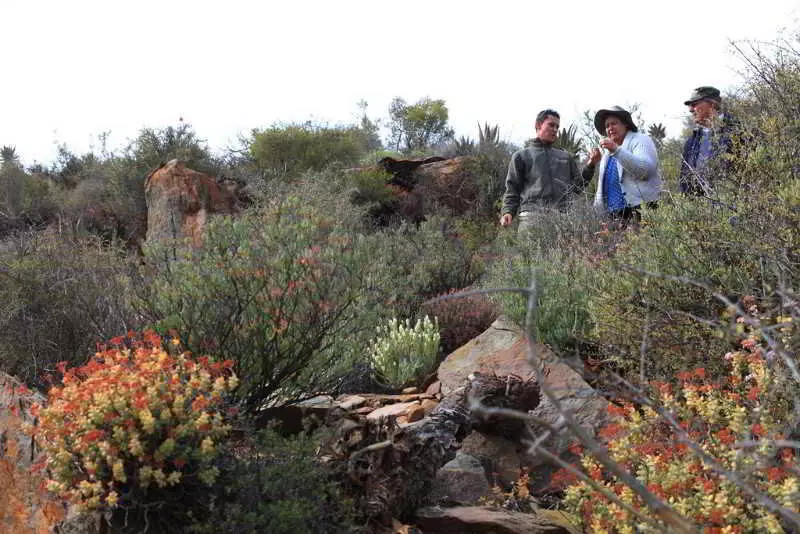 هتل Madi Madi Karoo Safari Lodge