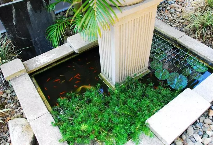 Отель Montego Sands Resort