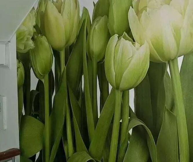 City Comfort Hotel At Kitay   Gorod