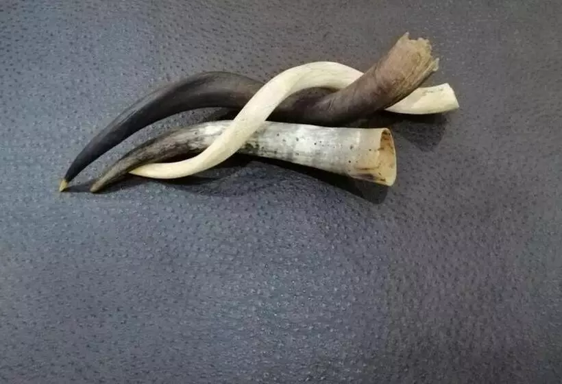 Mapungubwe Hotel Apartments Marshalltown