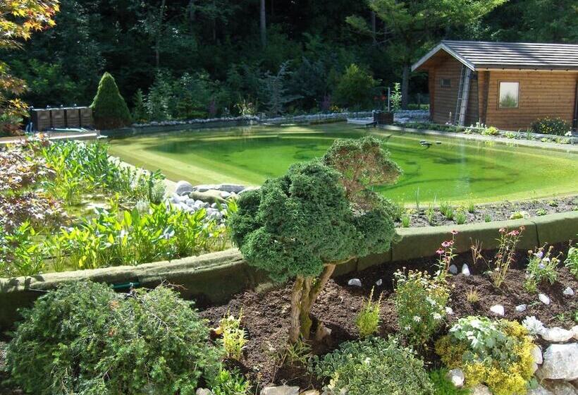 בית מלון כפרי Vista Resort