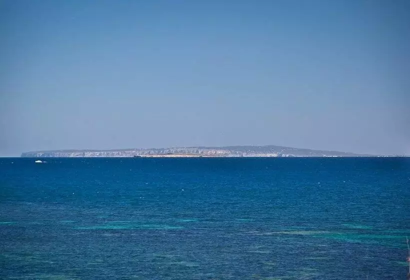 Ryans Ibiza Apartments Only Adults