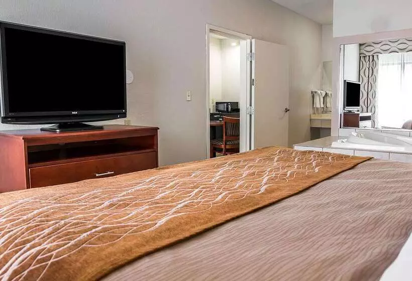 هتل Comfort Inn & Suites University South