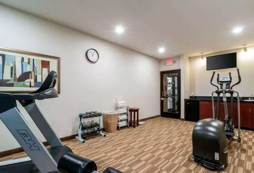 هتل Comfort Inn & Suites University South