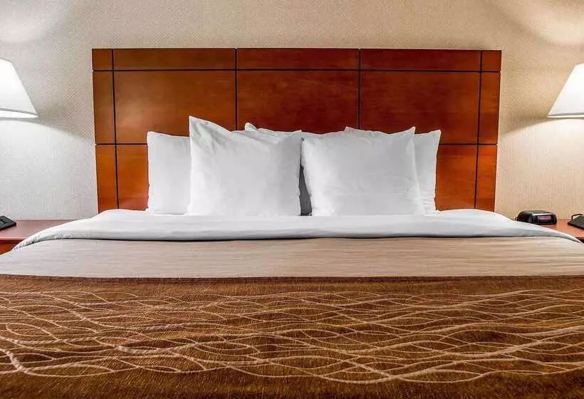 هتل Comfort Inn & Suites University South