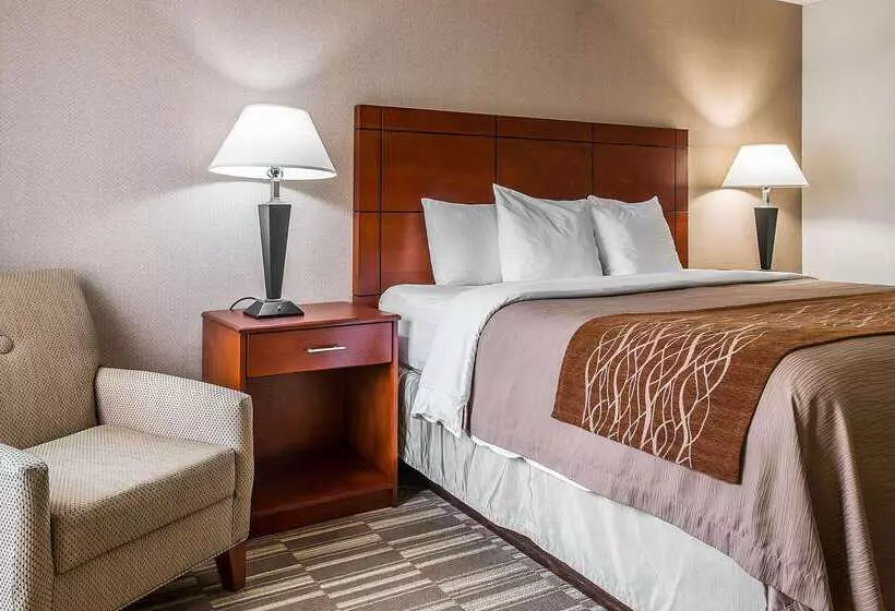 هتل Comfort Inn & Suites University South