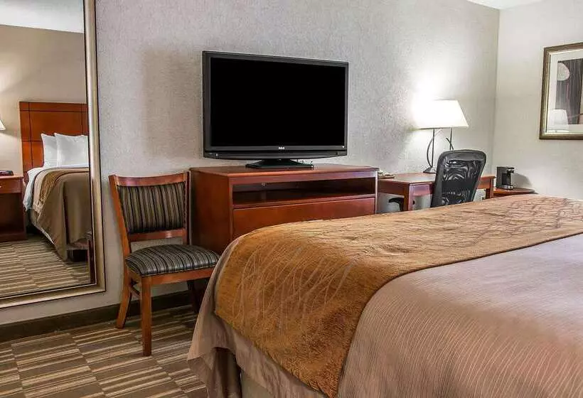 هتل Comfort Inn & Suites University South