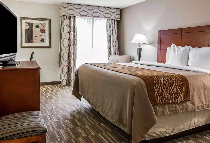 هتل Comfort Inn & Suites University South