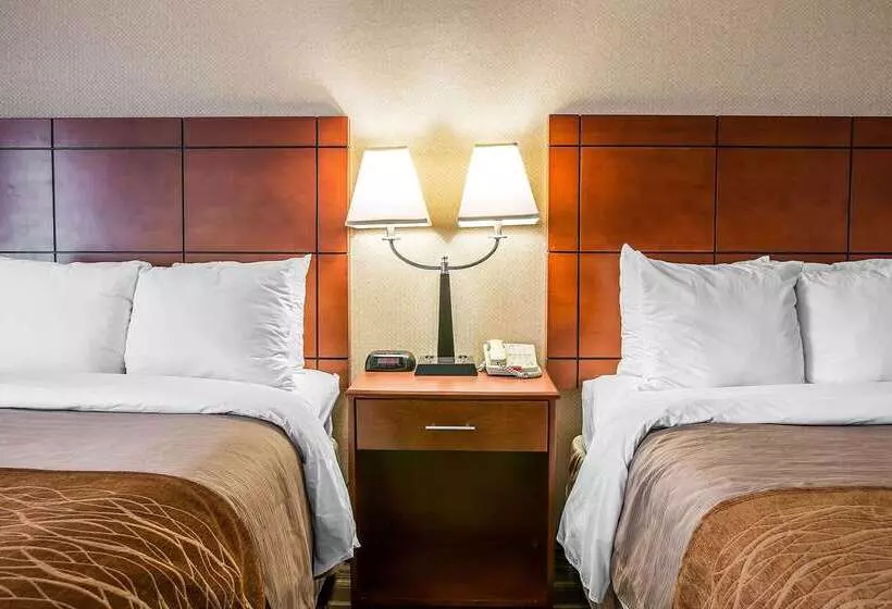 هتل Comfort Inn & Suites University South