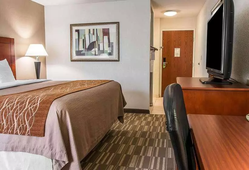هتل Comfort Inn & Suites University South