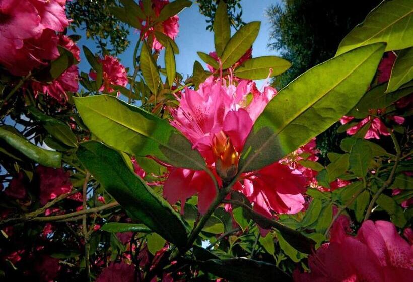 فندق Domaine De Kereven