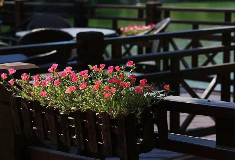 Отель Gluxe Hongqiao