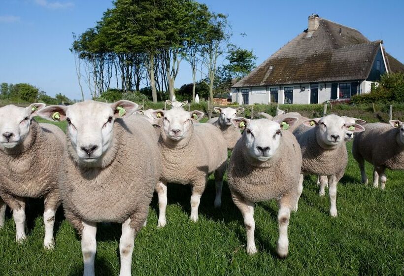 Hotel Molenbos Texel