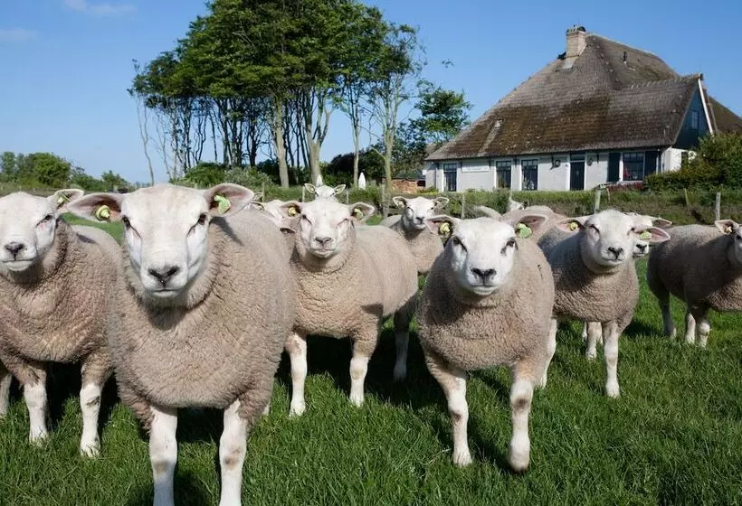 Hotel Molenbos Texel