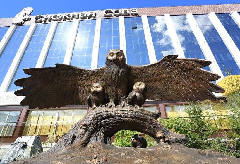 Snowy Owl Hotel