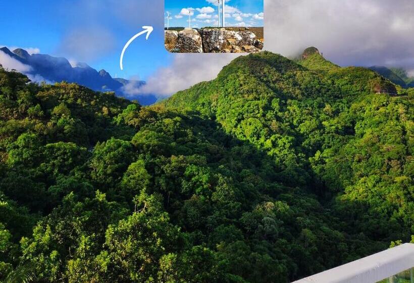 Отель Du Rastro