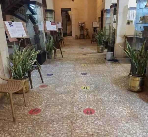 تختخواب و صبحانه Gamaleya Boutique