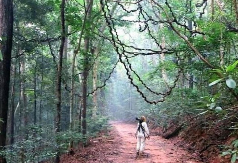 Hotel The Kandyan Art At Hills