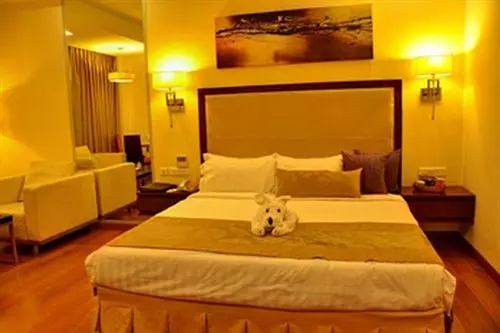 Отель Manasarovar The Fern