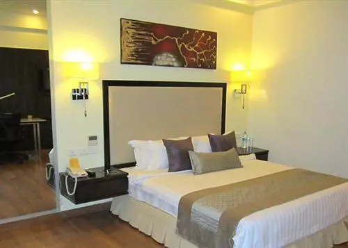 Отель Manasarovar The Fern