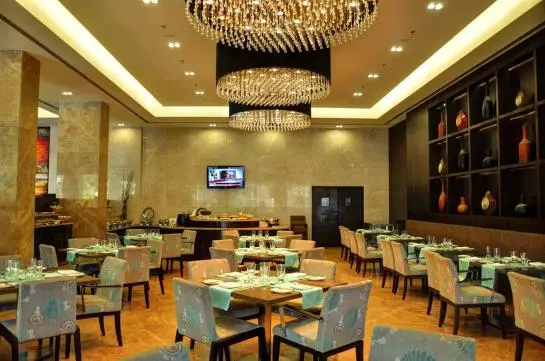 Отель Manasarovar The Fern