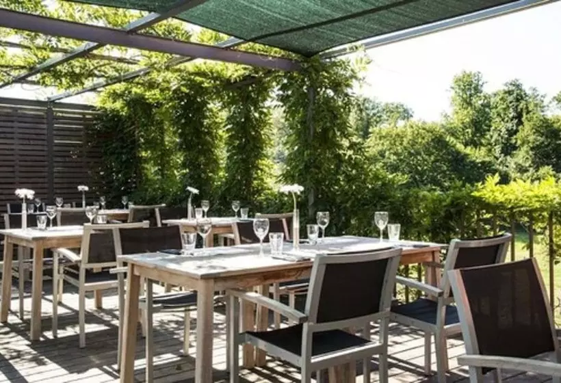 هتل Simon S Plaza