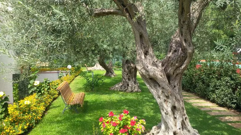 فندق Villa Collina