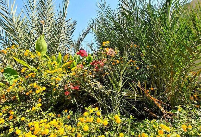 پانسیون Sekhmet Retreat Centre