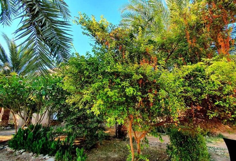 پانسیون Sekhmet Retreat Centre