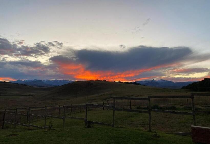 膳宿费 Twin Peaks